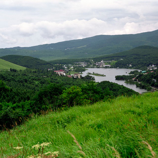 ミロフレックスA (859/3) テッサー120mmF4.5